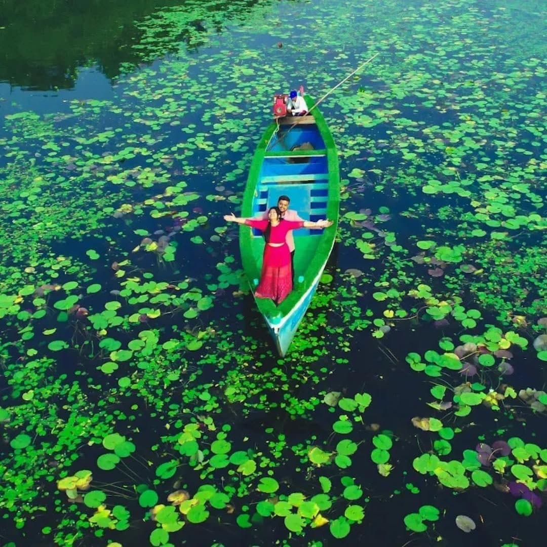 A boat drifting through a pond of lily pads