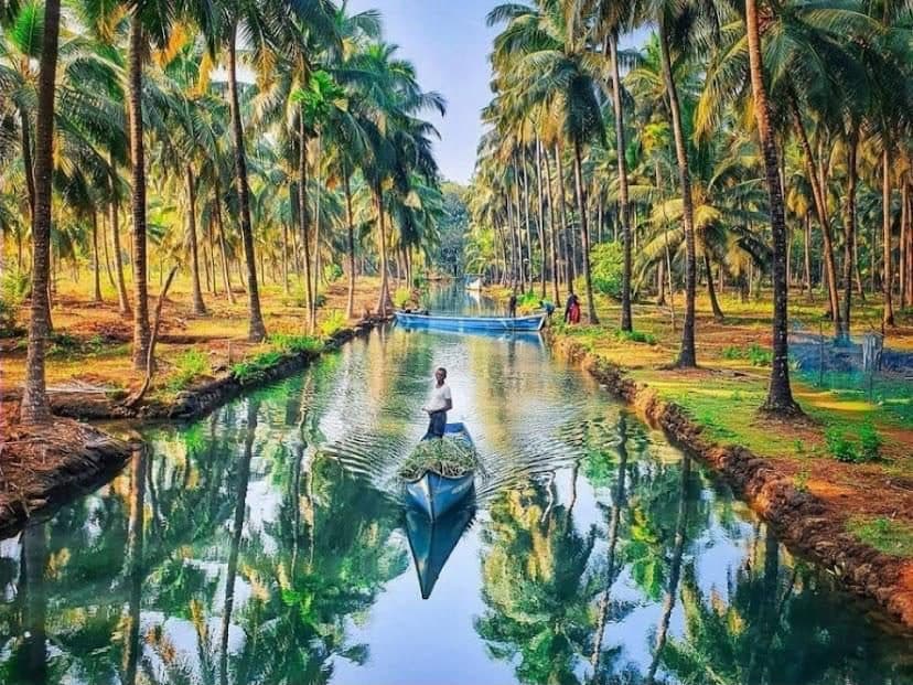 A boat gliding down a palm-lined channel, mirrored in the water