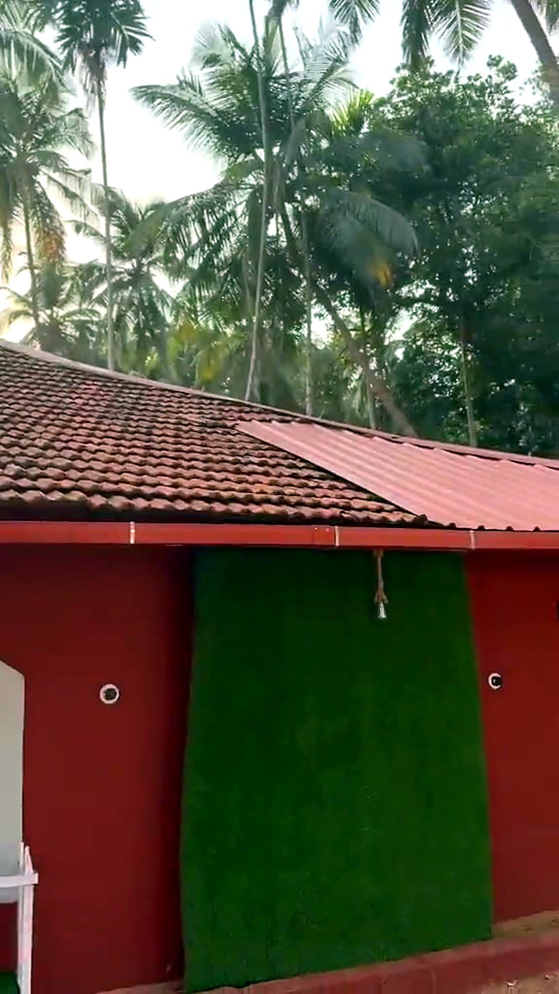 Tiled roof and palms above the homestay