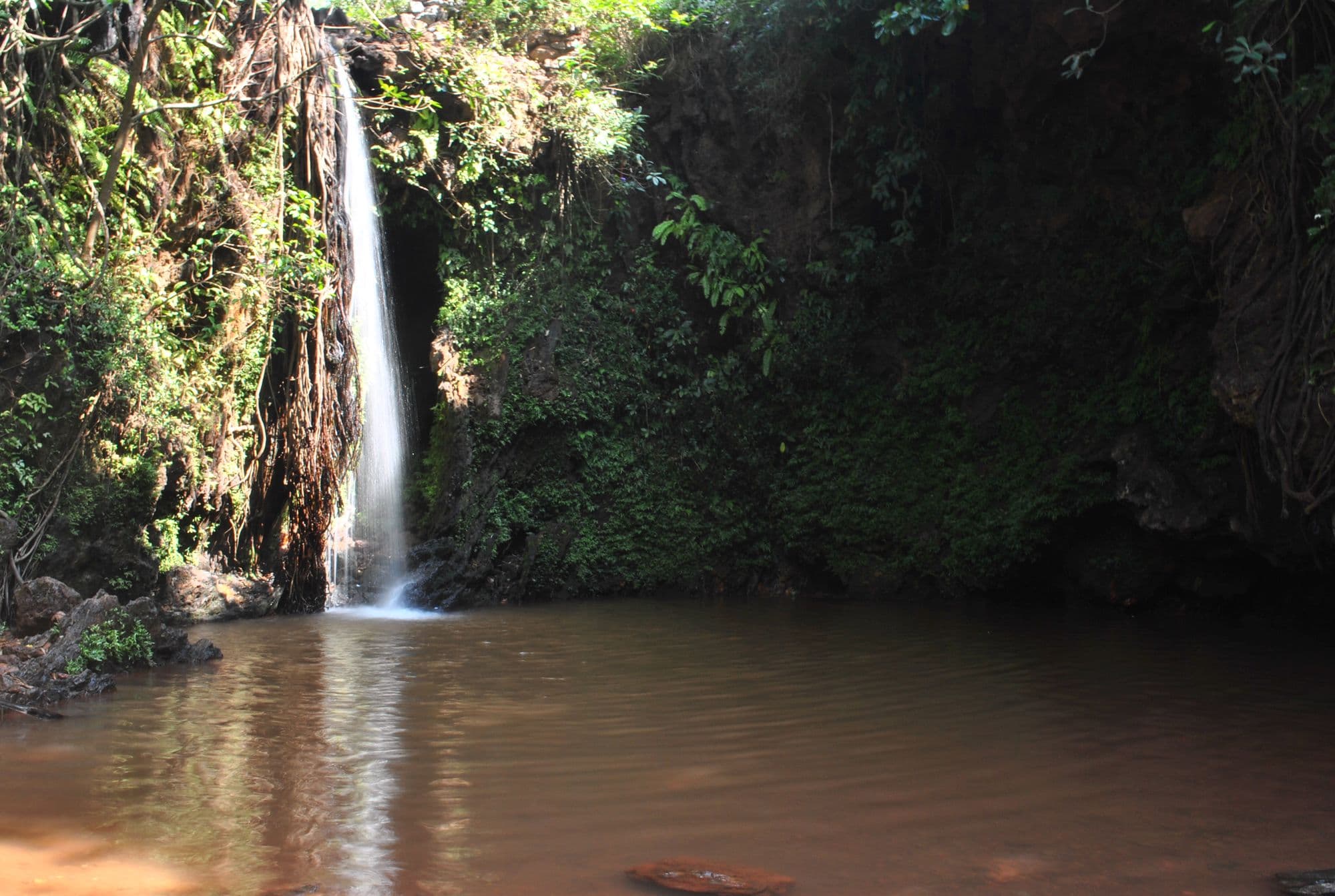 Apsarakonda Falls near Honnavar