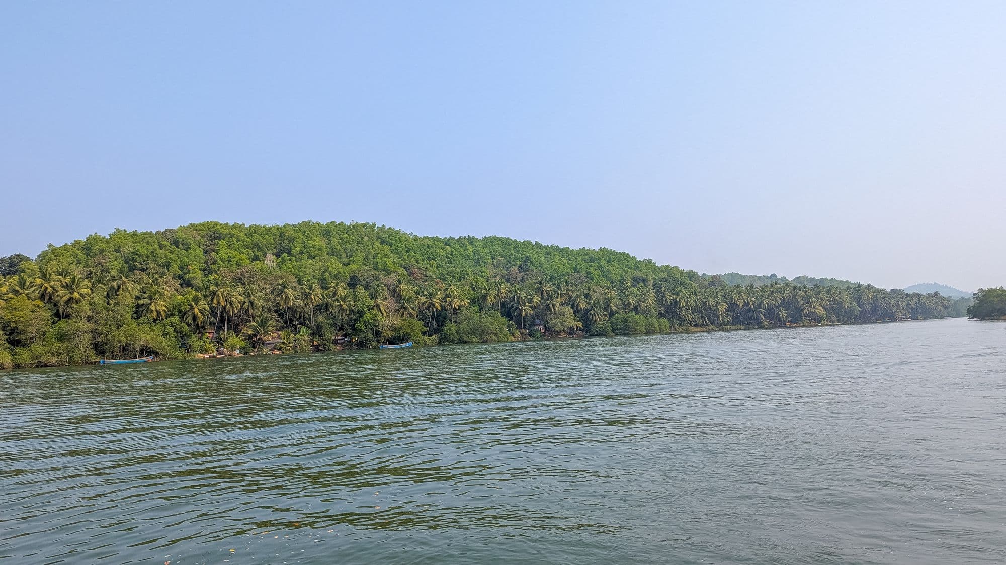 Wide view of the Sharavathi backwaters and mangrove forest