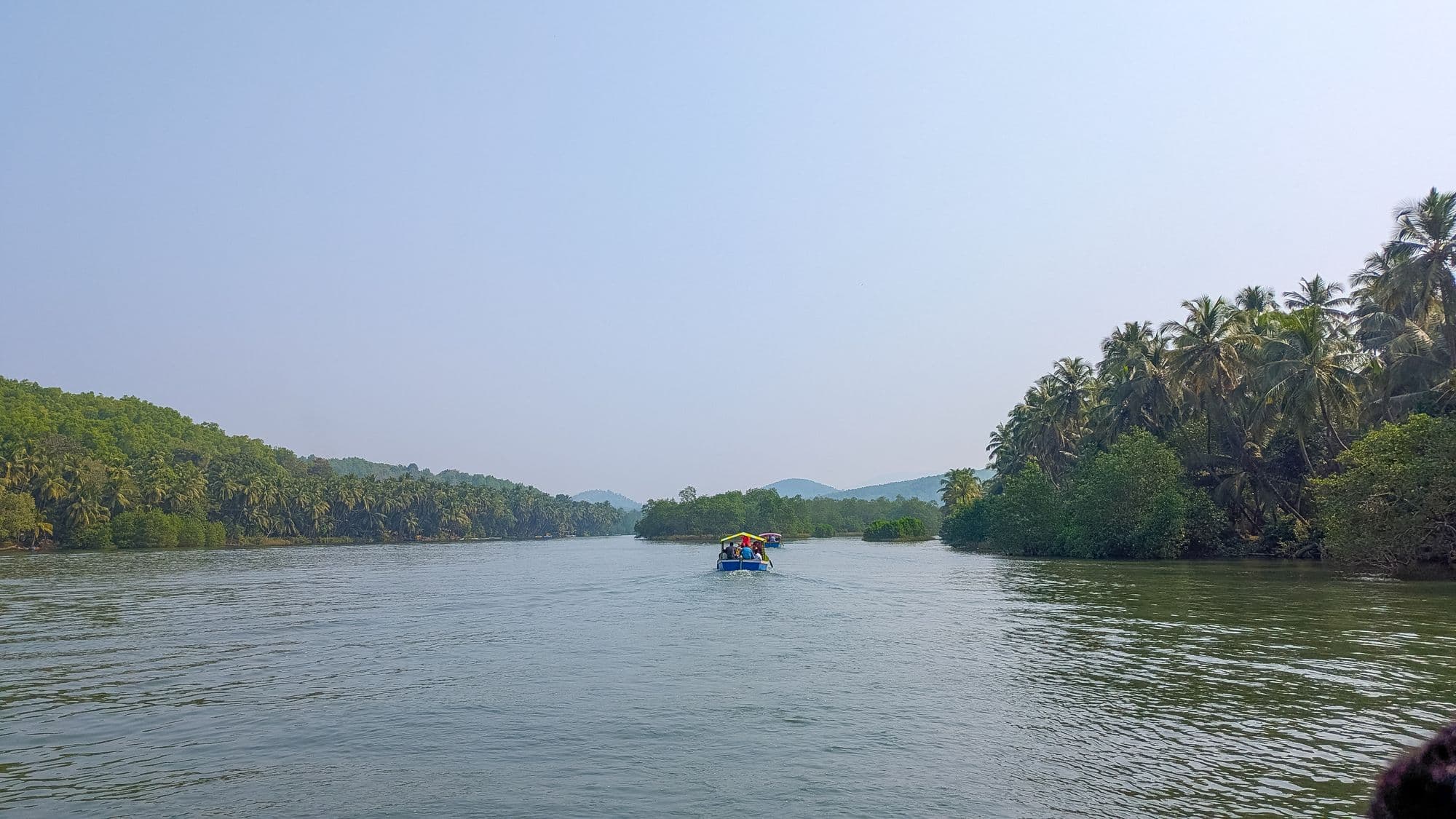 Badagani river and mangroves near Honnavar