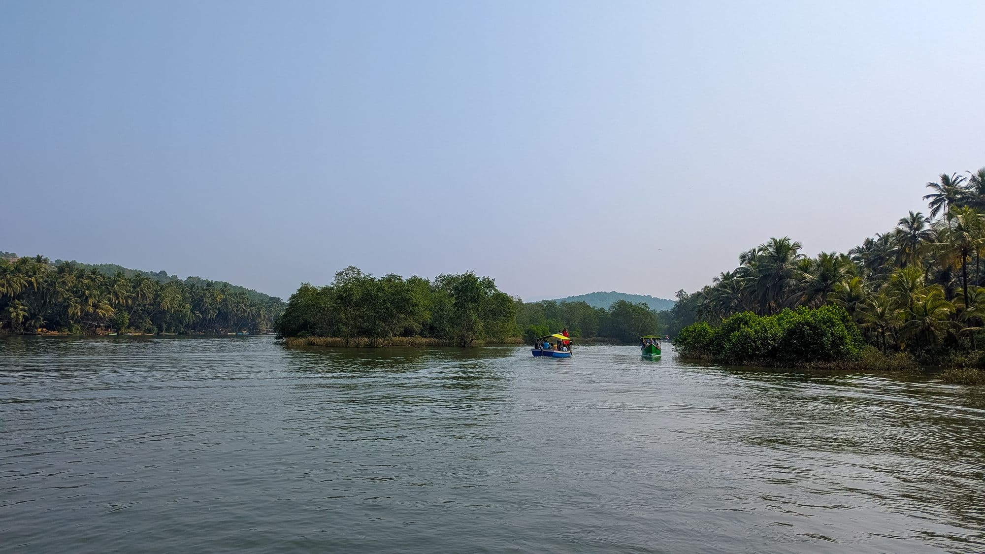 Mangrove channel on the Honnavar backwaters