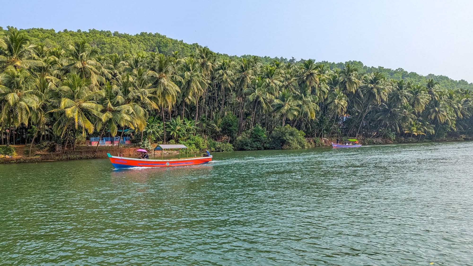 Tour boat on the Sharavathi backwaters with palm-covered banks